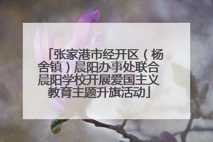 张家港市经开区（杨舍镇）晨阳办事处联合晨阳学校开展爱国主义教育主题升旗活动